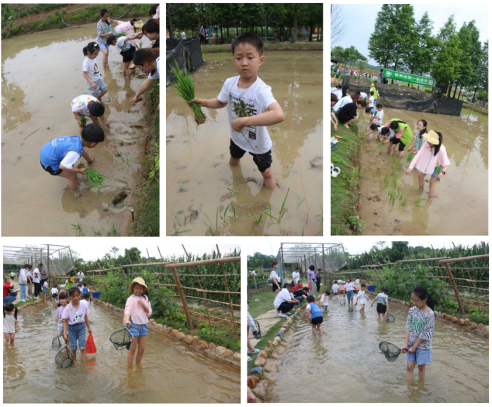 1654053397511470.png 555.png